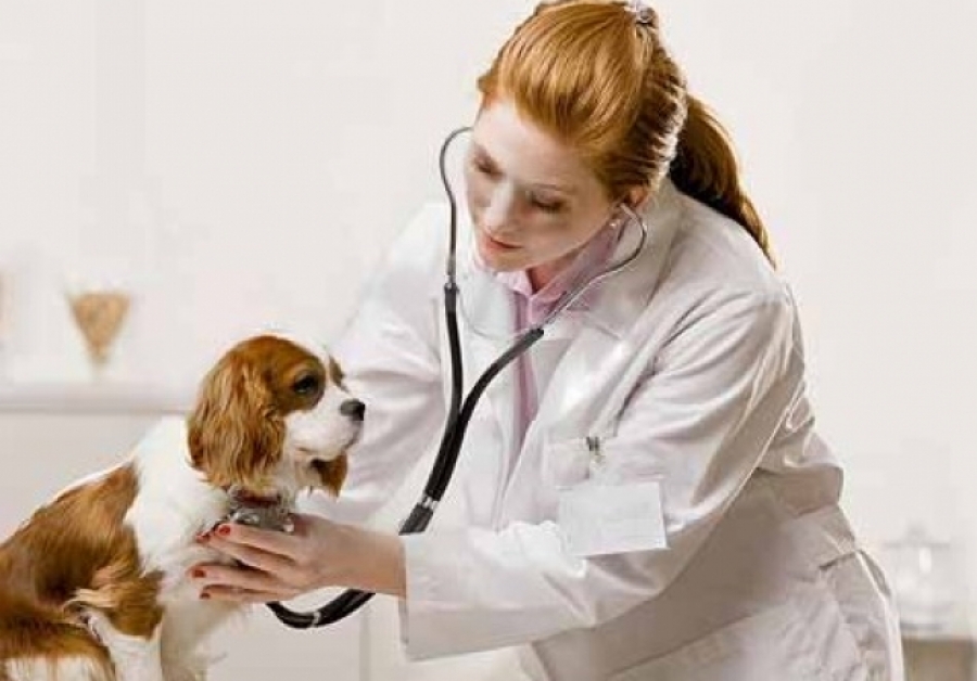 9f6d22dec5a20bcdd01cd84e98637764_xl